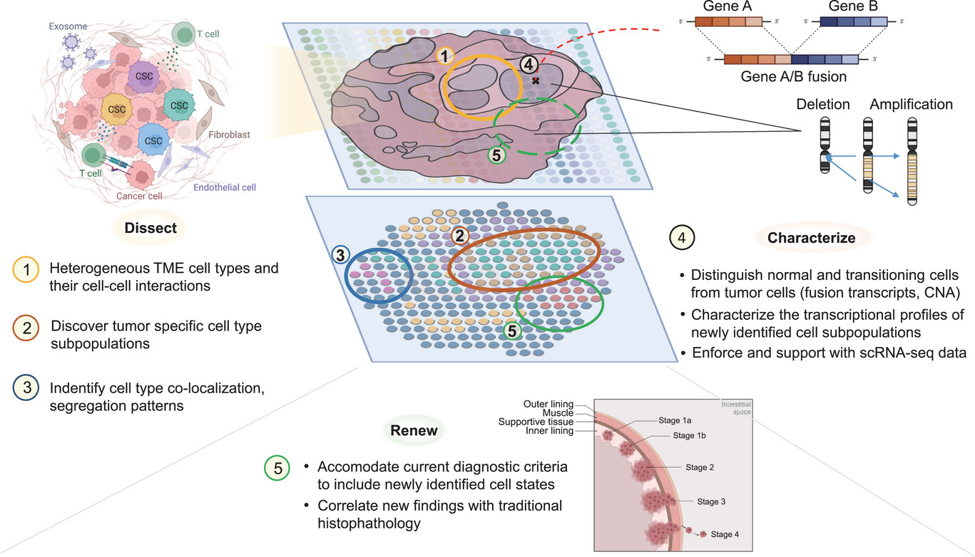 Redefining Spatial Transcriptomics: M20 Spatial - M20 Genomics