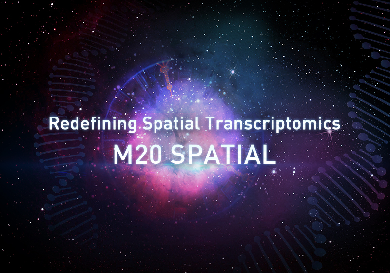 Redefining Spatial Transcriptomics: M20 Spatial