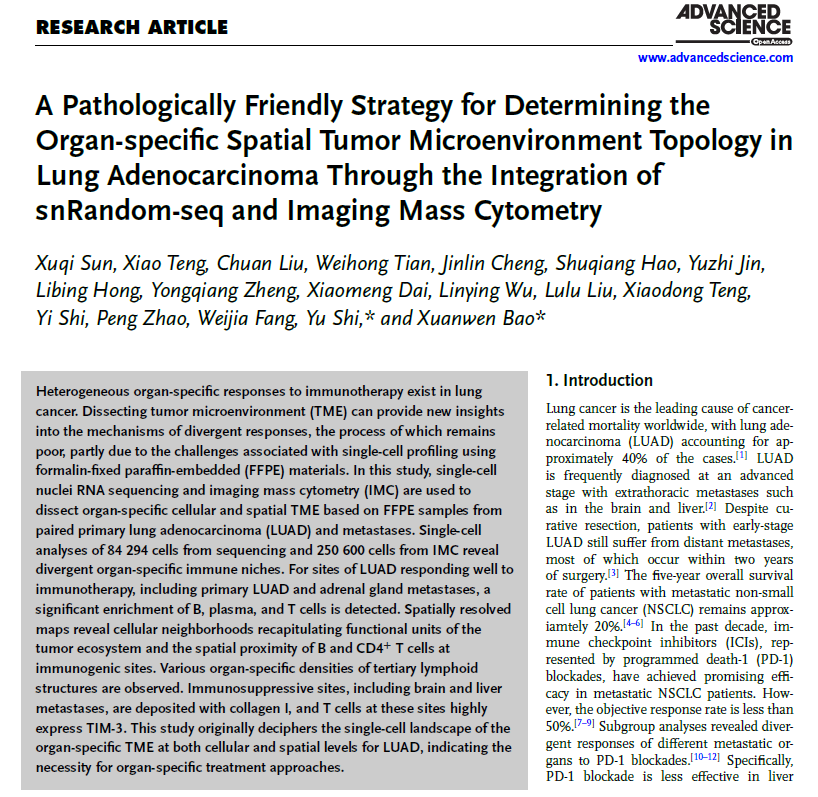 A Pathologically Friendly Strategy for Determining the Organ-specific Spatial Tumor Microenvironment Topology in Lung Adenocarcinoma Through the Integration of snRandom-seq and Imaging Mass Cytometry